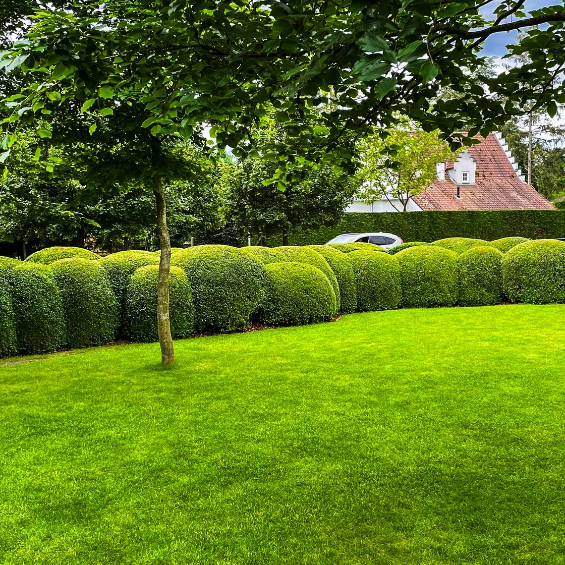 landelijke tuin met bolvormige hagen en verzorgd gazon