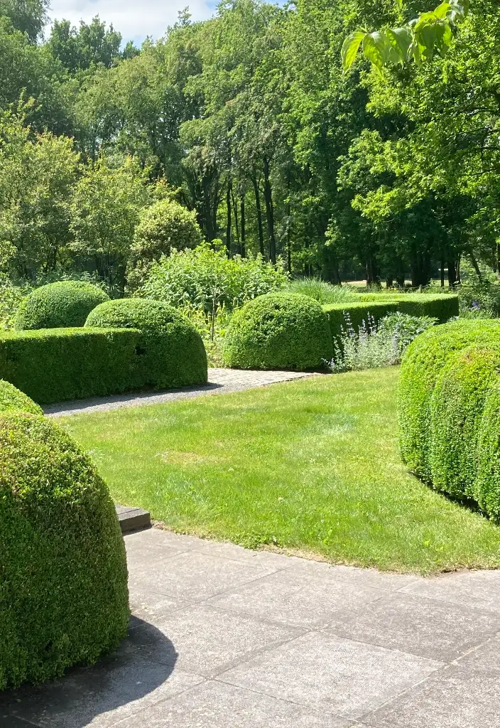 tuinpad met gesnoeide hagen